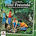 Fünf Freunde 149 - und der Schatz in der Drachenschlucht