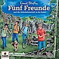 Fünf Freunde 154 - und die Geheimbotschaft in der Ruine
