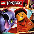 Lego Ninjago (79)