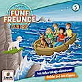 Fünf Freunde Junior 05 - Das Geburtstags-Abenteuer/Gefahr..