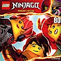 Lego Ninjago (80)