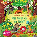 Klänge der Natur: Was hörst du im Wald? (Soundbuch)