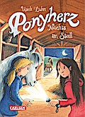 Ponyherz 6: Nachts im Stall