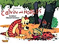 Calvin und Hobbes 10: Schätze! Überall Schätze!