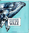 Die geheime Welt der Wale (Ein Sachbilderbuch)