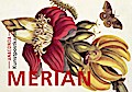 Postkarten-Set Maria Sibylla Merian