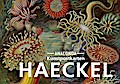 Postkarten-Set Ernst Haeckel