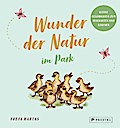Wunder der Natur im Park