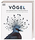 Vögel