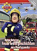 Feuerwehrmann Sam: Meine liebsten Feuerwehrgeschichten aus