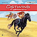 Ostwind (Abenteuerreihe 6) - Ein gefährliches Rennen
