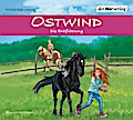 Ostwind - Die Entführung
