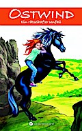 Ostwind Abenteuer-Reihe 01 - Ein rätselhafter Unfall